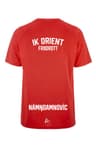 Alternativt produktexempel